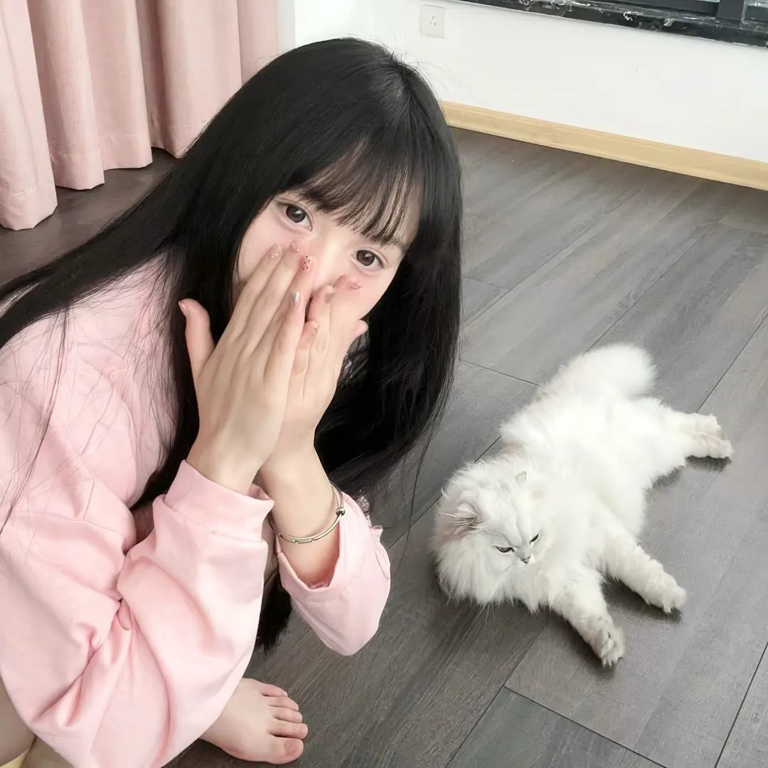 隼鹰